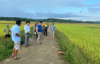 Thương tâm cụ bà bị sét đánh tử vong sau khi mang bạt giúp người nhà gặt lúa-gamelade