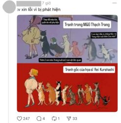 Thạch Trang gây sốc khi phản hồi drama: "Tôi xin lỗi vì bị phát hiện" - ongkinh