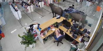 Hai "vị khách lạ" vào shop quần áo khiến nhân viên "đứng hình", vội vàng đuổi đi - ongkinh
