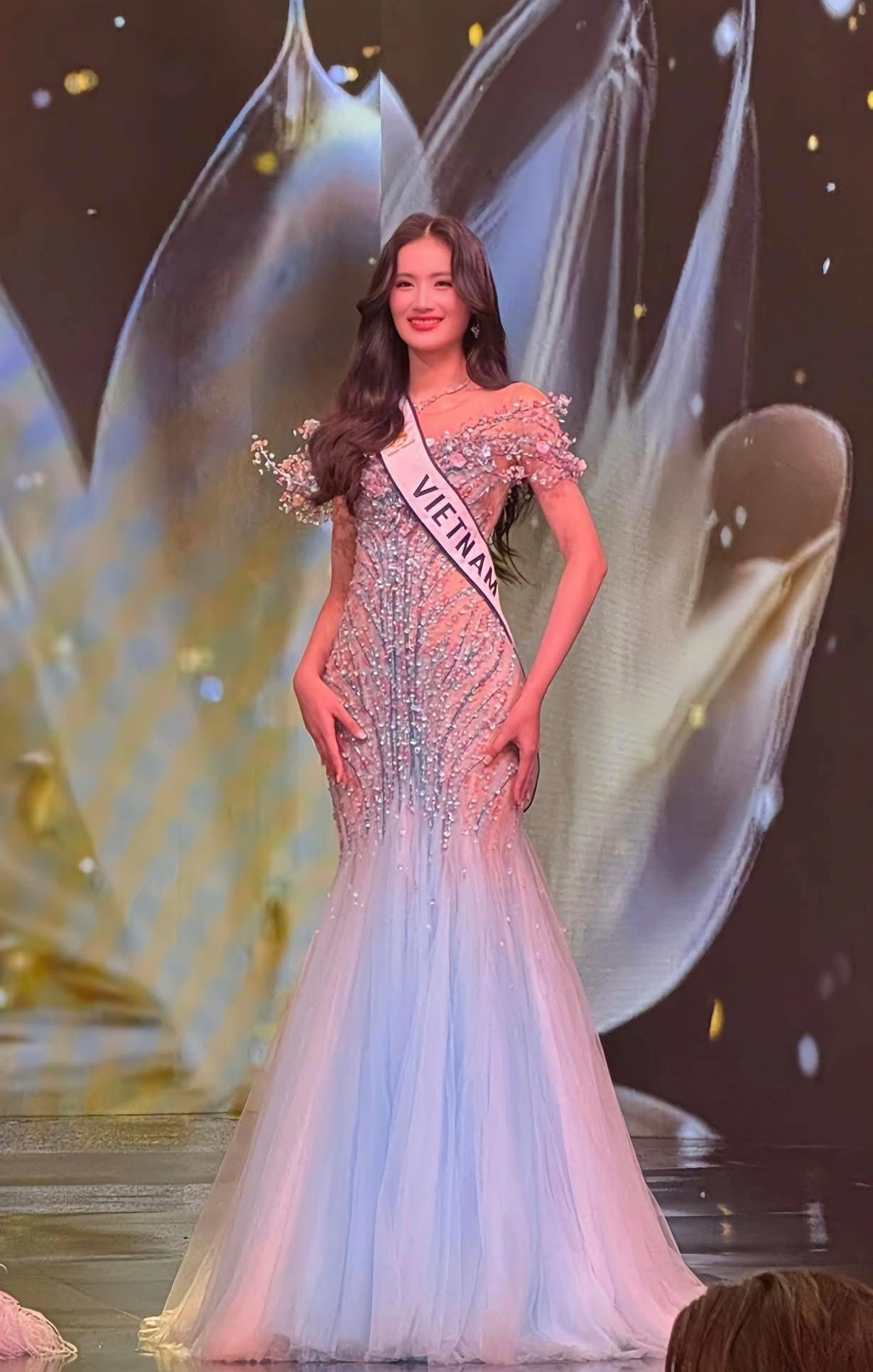 Hoa hậu Ý Nhi dừng chân ở Top 40 Miss World, khán giả bày tỏ sự tiếc nuối - Ongkinh