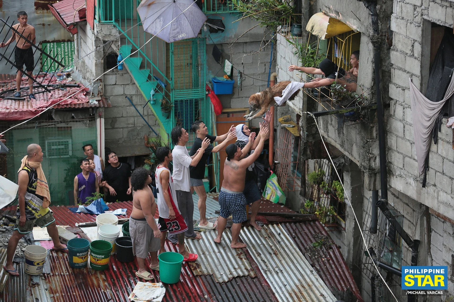 Khoảnh khắc cứu chú chó trong biển lửa ở Philippines gây xúc động mạnh-ongkinh