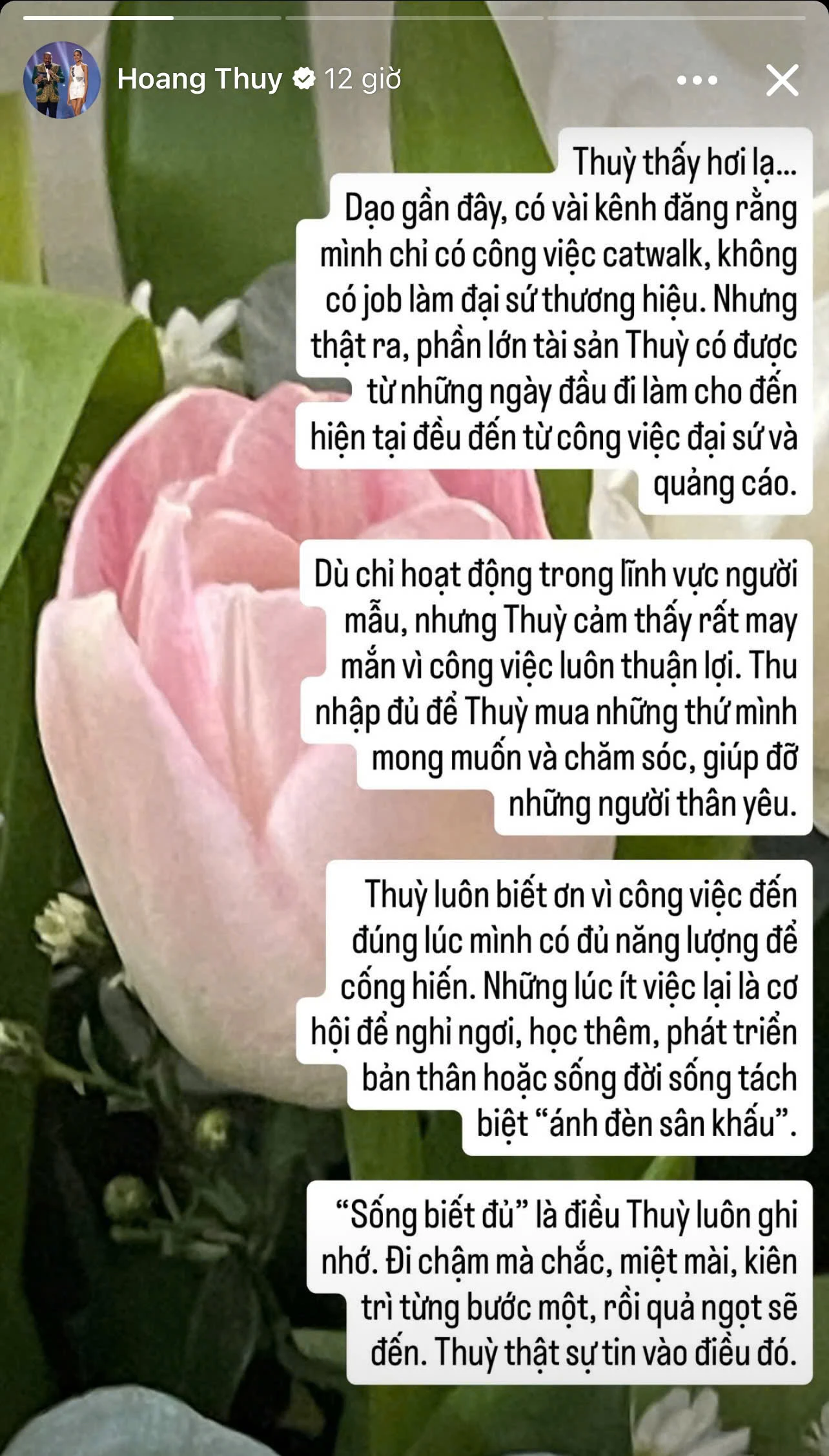 Hoàng Thùy đáp trả khi bị mỉa mai ế show quảng cáo