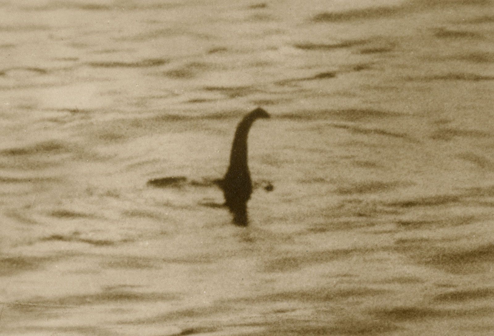 Sự thật về quái vật hồ Loch Ness-ongkinh