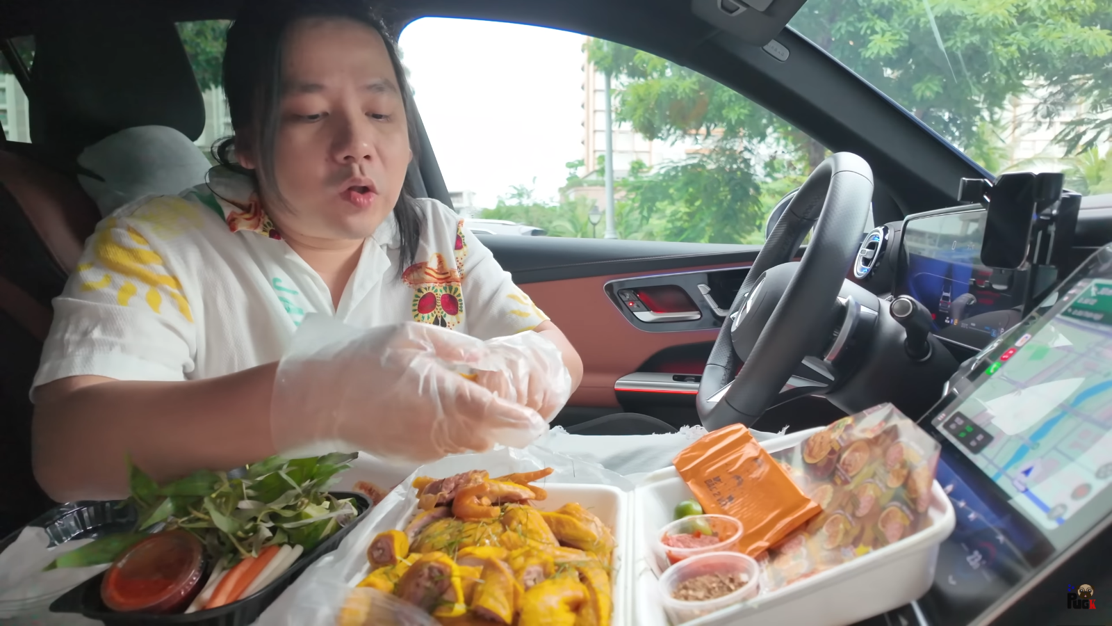 Khoa Pug về Việt Nam đi tập tễnh sau 2 lần kéo chân