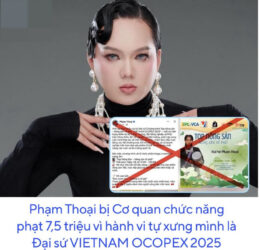 Phạm Thoại bị đào loạt ảnh giữa ồn ào bị phạt: 'Thế này đòi làm đại sứ nông sản'