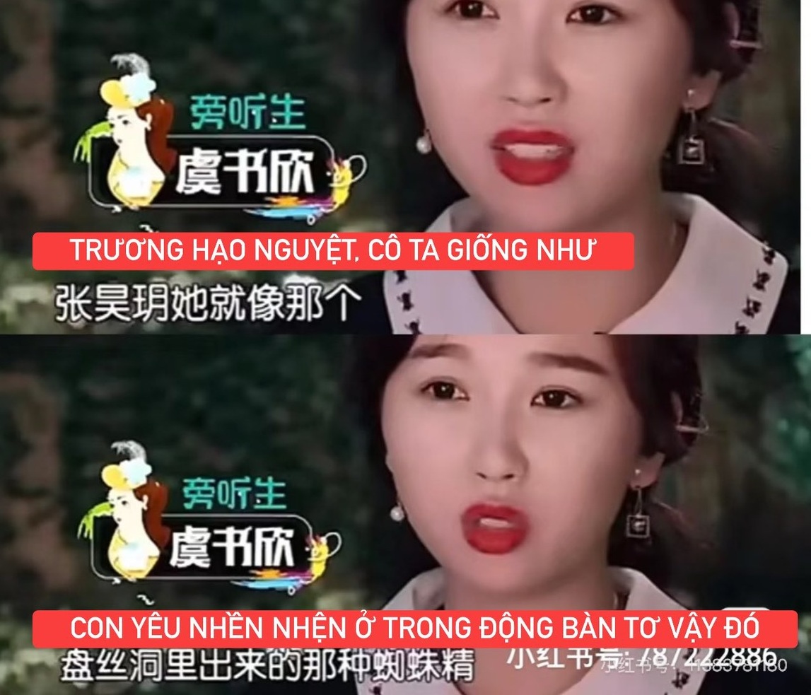 Tại sao Triệu Lộ Tư được gọi là báo ứng của Ngu Thư Hân?