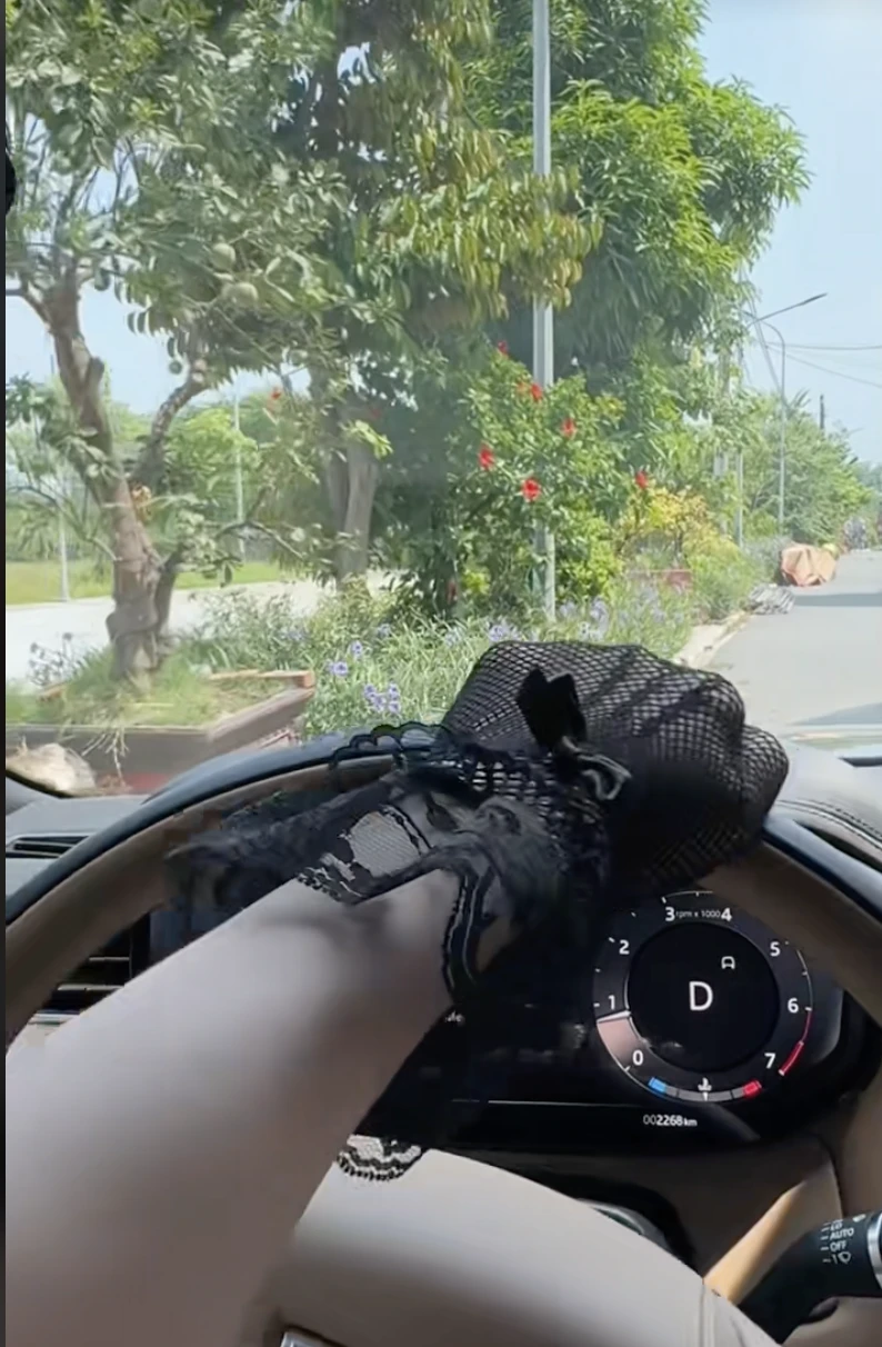 Chu Thanh Huyền bị ném đá chỉ vì lái xế hộp về quê