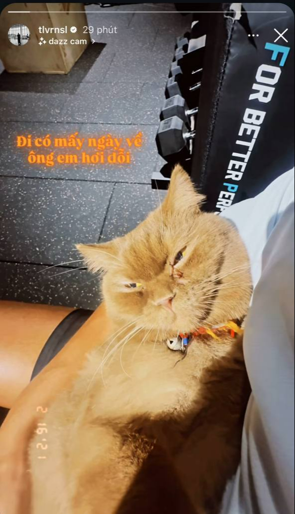 Tóc Tiên và Touliver vướng nghi vấn rạn nứt hôn nhân - Ongkinh