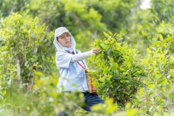 Duy Khánh phủ nhận tin đồn "bị chèn ép" - Ongkinh