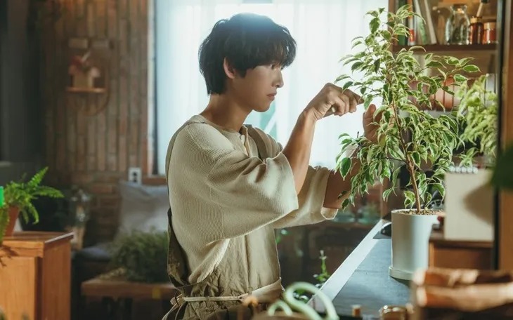 Song Joong Ki lại bị chỉ trích