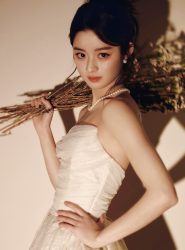Weibo cấm 81 tài khoản sau vụ Hoàng Dương Điền Điềm